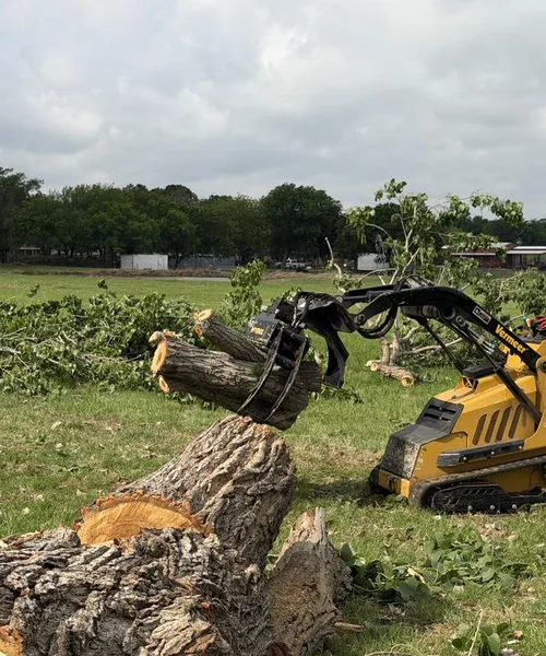 Tree Removal in Pantego 